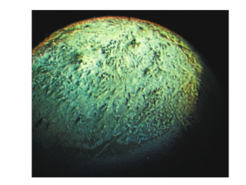 <multi>[fr]Triton, satellite de Neptune, observé par la sonde Voyager 2 en août 1989.[en]Triton, satellite of Neptune, observed by the Voyager 2 probe in August 1989</multi> 